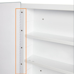 IDYLLOR Plastic Medicine Mirror Cabinet for Bathroom 16 x 20 inch, Surface and Recessed Mount