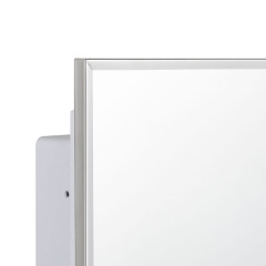 IDYLLOR Plastic Bathroom Medicine Cabinet with Framed Mirror 16 x 22 inch, Surface and Recessed Mount