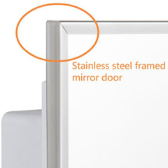 IDYLLOR Plastic Bathroom Medicine Cabinet with Framed Mirror 16 x 22 inch, Surface and Recessed Mount