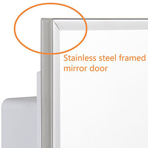 IDYLLOR Plastic Bathroom Medicine Cabinet with Framed Mirror 16 x 22 inch, Surface and Recessed Mount