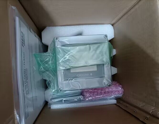 pH and ORP Anal FLXA21-D-P-D-CH-P1-NN-A-N-LA-N-NN/UM/SCT