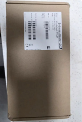 Endress+Hauser Tuning fork switch FTL31-1102/0