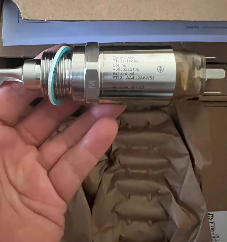 Endress+Hauser Tuning fork switch FTL31-AA4U2AAWBJ