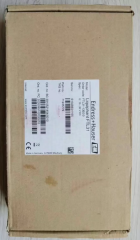 Endress+Hauser Tuning fork switch FTL31-13E0/0