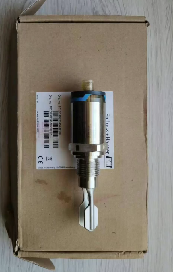 Endress+Hauser Tuning fork switch FTL31-13E0/0