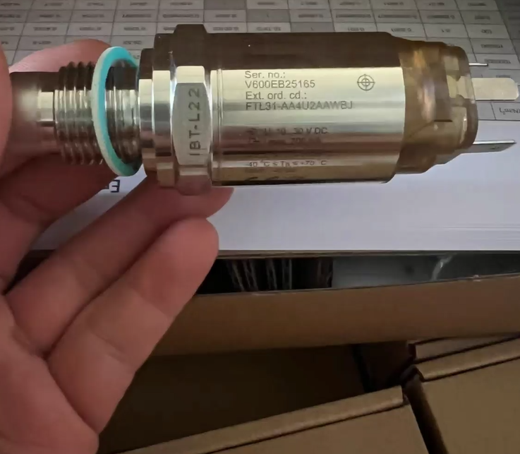 Endress+Hauser Tuning fork switch FTL31-AA4U2AAWBJ