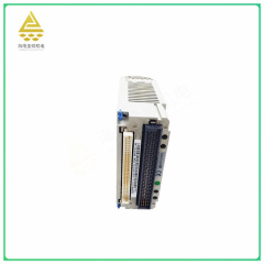1C31194G03 Digital output module