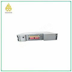 CP401-10  Processor module