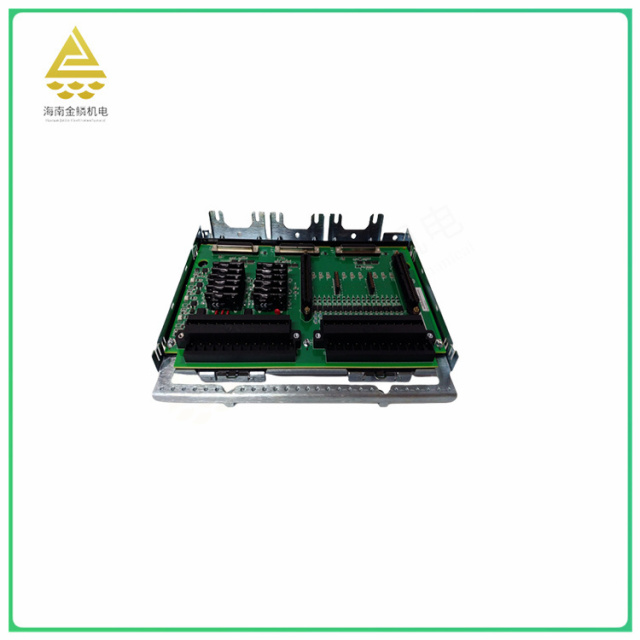 IS200TREAH2AED   Extension bus processing module
