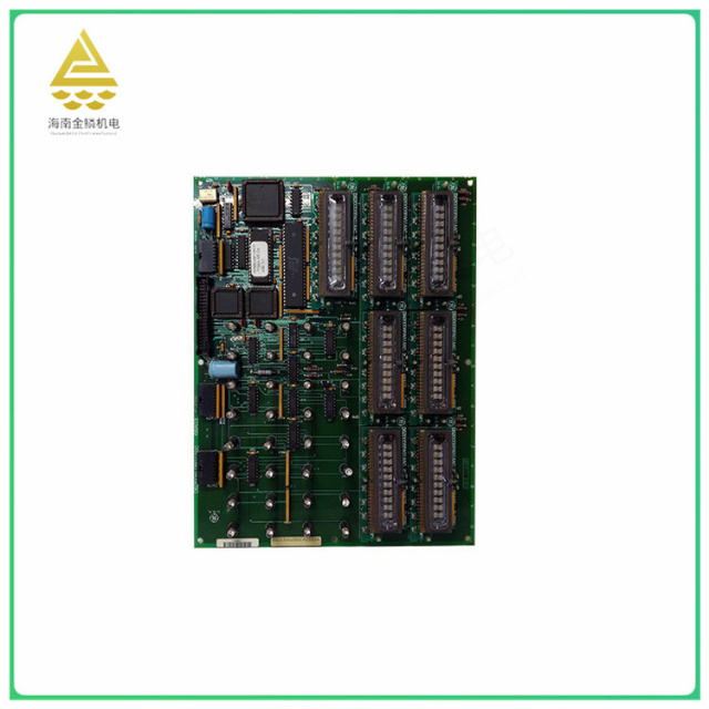 DS215KLDBG1AZZ03A-DS200KLDBG1ABC   Digital quantity module