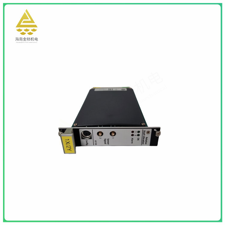 A6110   Dual channel shaft vibration measurement module