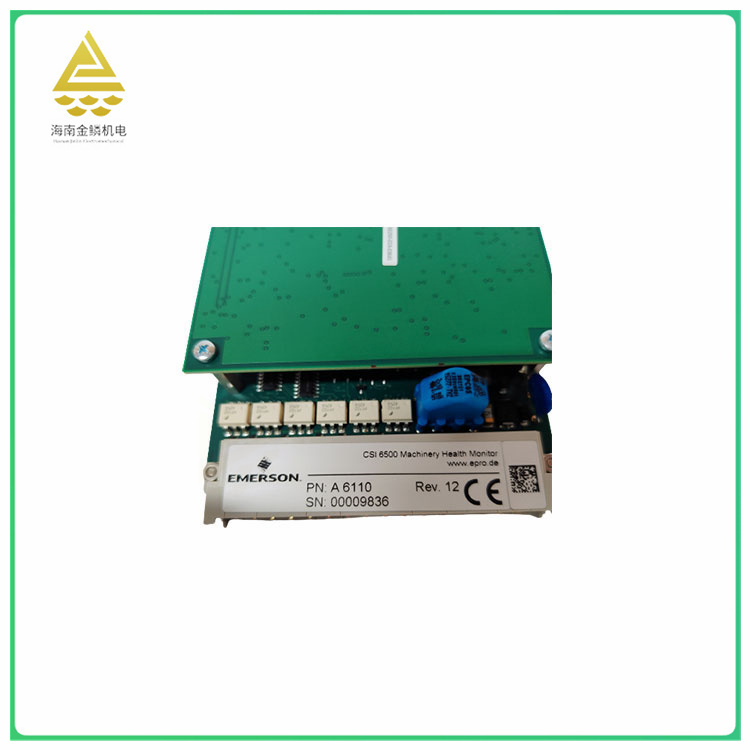 A6110   Dual channel shaft vibration measurement module
