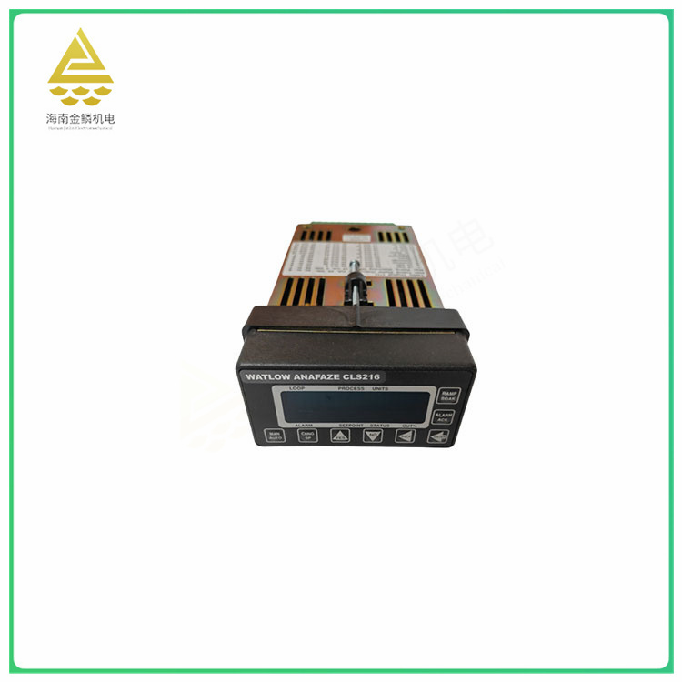 CLS216   high precision programmable temperature controller