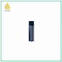 IC694ACC310   input/output module   Provides simple and easy to use programming interface,jlplc