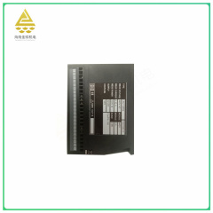 100031593.10 LSU-112DG  card module   Implement various control logic and algorithm,jlplc