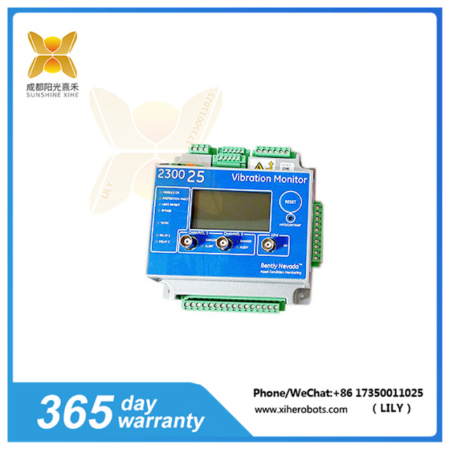 2300/25-00   Dual channel vibration monitor