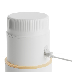 Portable Blender Ice cream Maker 2-in-1 Rechargeable Juicer with Ice Bucket Wholesale/ OEM/ ODM