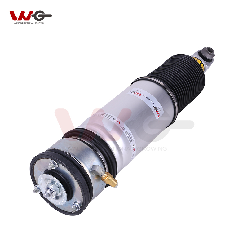 BMW 7 Series E66 right rear no inductor Air Suspension shock absorber