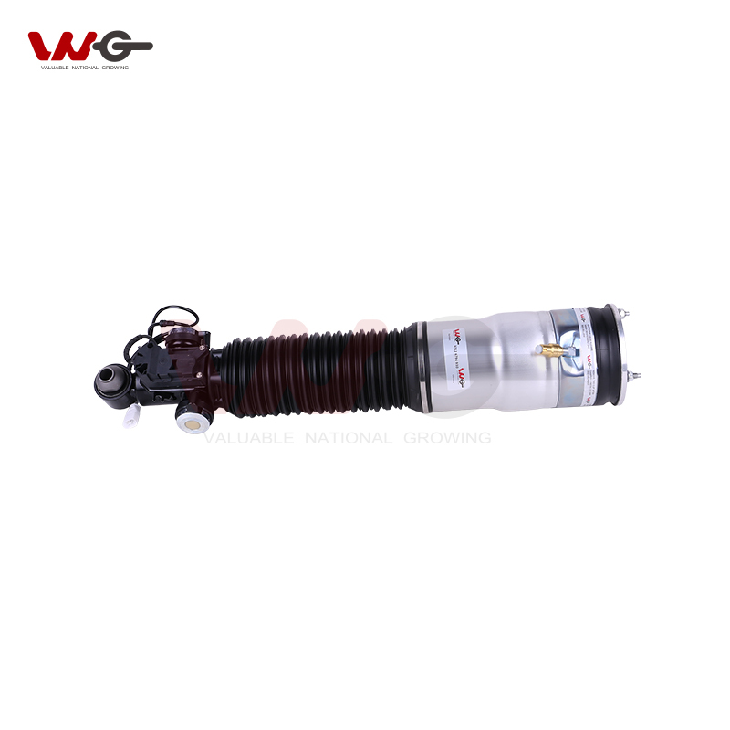 BMW 7 Series F02 right rear Air Suspension shock absorber