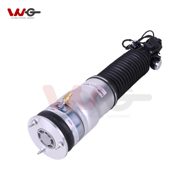 BMW 7 Series F02 left rear Air Suspension shock absorber