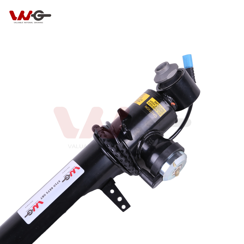 BMW X5 F15/X6 F16 left rear with inductor Air Suspension shock absorber