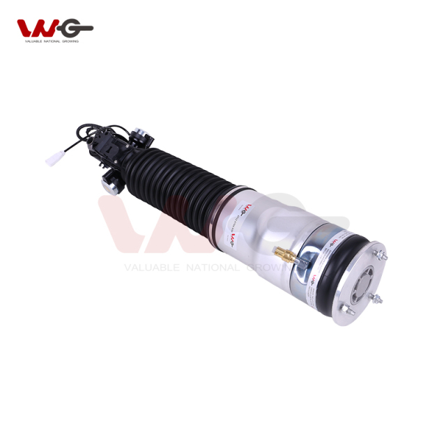 BMW 7 Series F02 right rear Air Suspension shock absorber