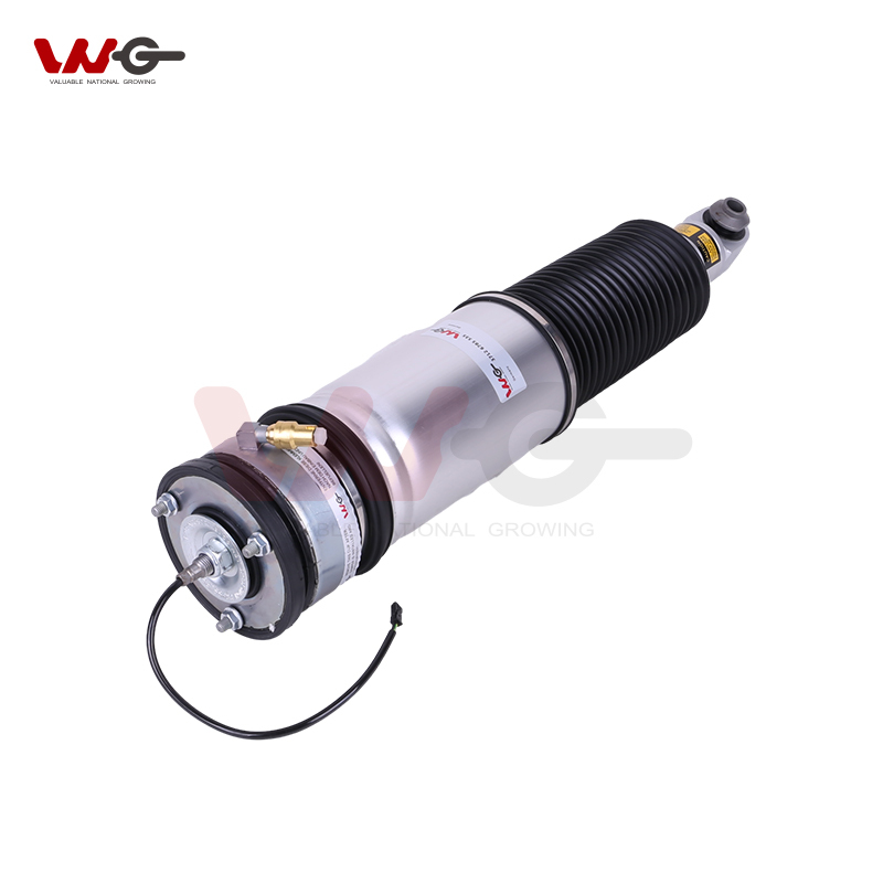 Hot Selling OE 37126785535 Air Suspension Shock Absorption For BMW 7 Series E66
