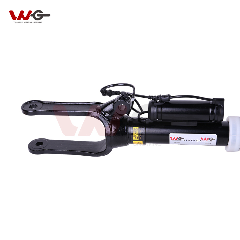 Car Suspension Repair Kits Front LR Air Suspension Spring for Mercedes-Benz  R-Class W251 OE A251 320 3113