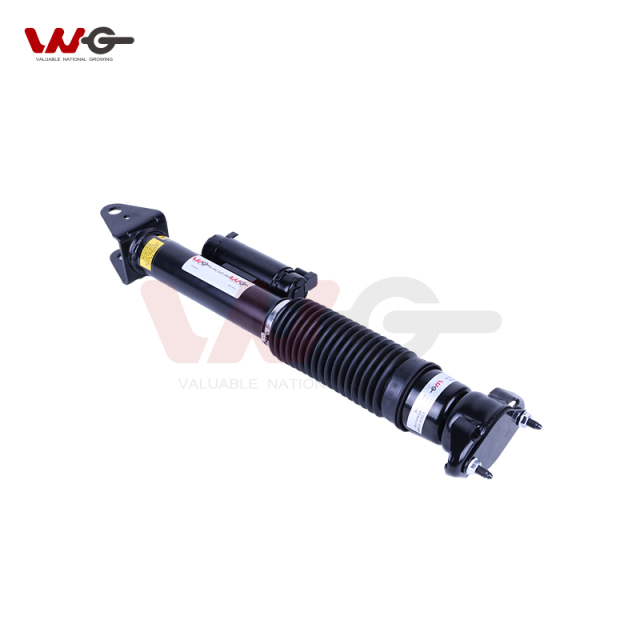 Car Auto Parts Rear LR Shock Absorber Parts For Mercedes-Benz  GLE-Class W292 A2923201600