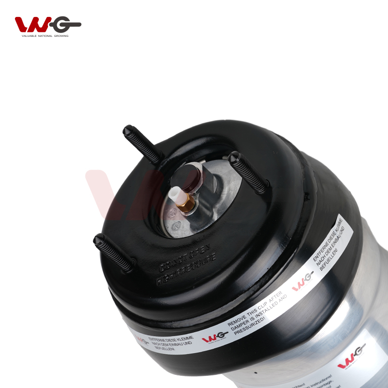 Hight Quality Front Air Ride Suspension Spring Shock Absorber For Mercedes Benz A1663204966 A1663205066