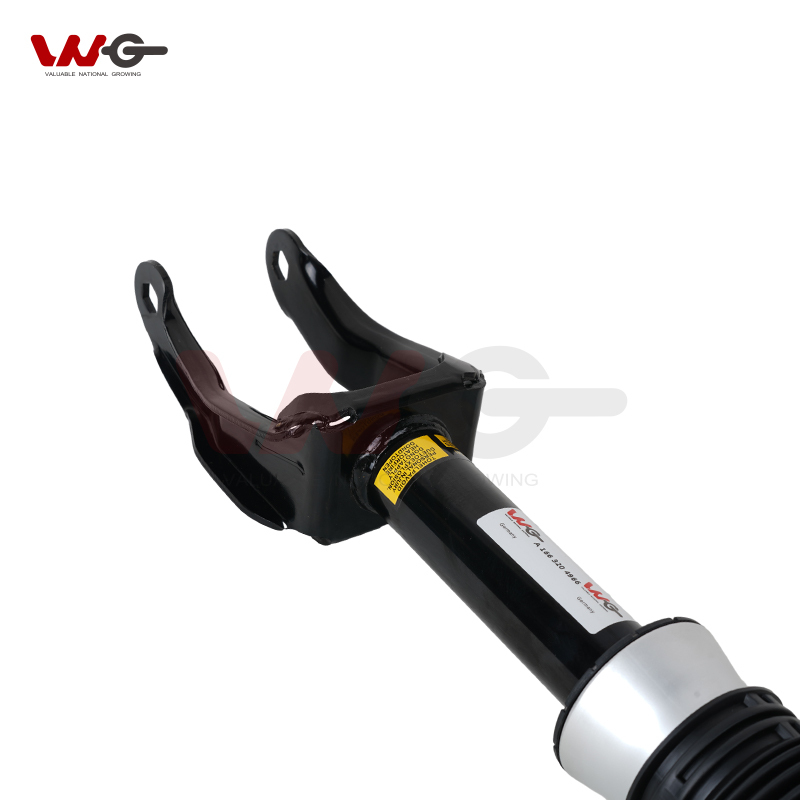 Hight Quality Front Air Ride Suspension Spring Shock Absorber For Mercedes Benz A1663204966 A1663205066