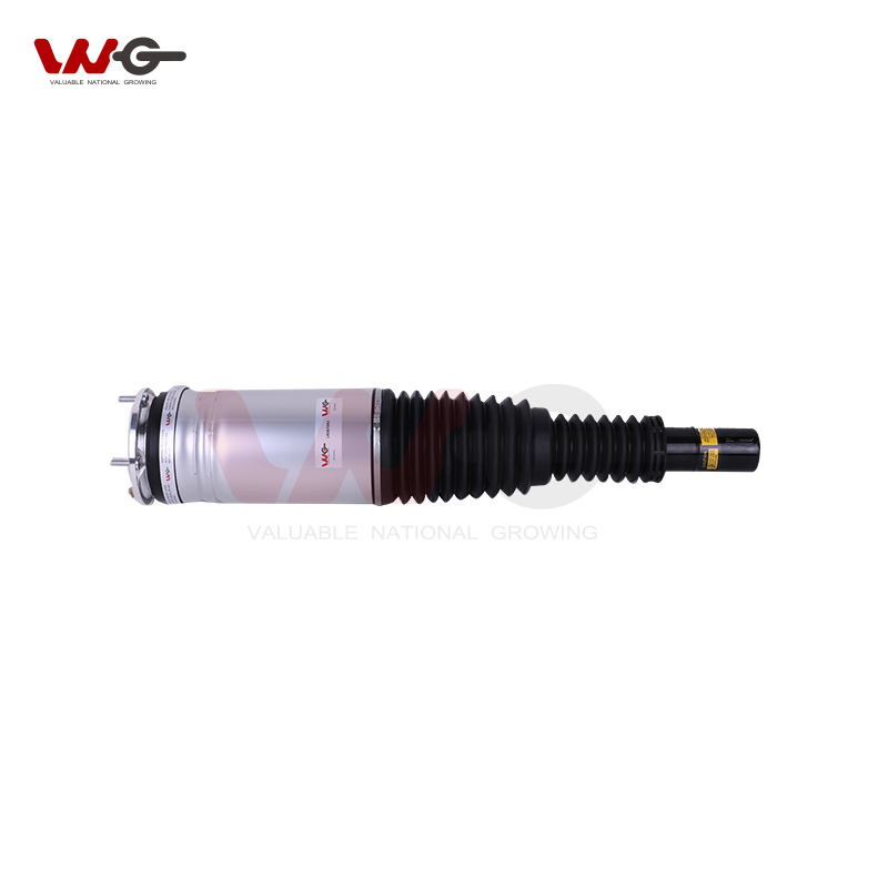 Shock Absorber Air Strut LR087093 LR045101 LR052786 LR057258 LR060155 LR072441 For Land Rover Range Rover Sport