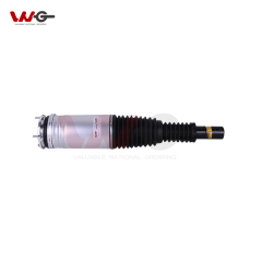 Shock Absorber Air Strut LR087093 LR045101 LR052786 LR057258 LR060155 LR072441 For Land Rover Range Rover Sport