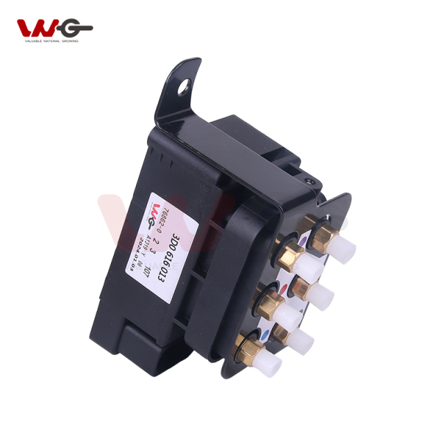 Auto Parts Air Suspension Valve Block for Bentley Continental Bentley Flying Spur Volkswagen Phaeton Audi A8 D3 3D0616013