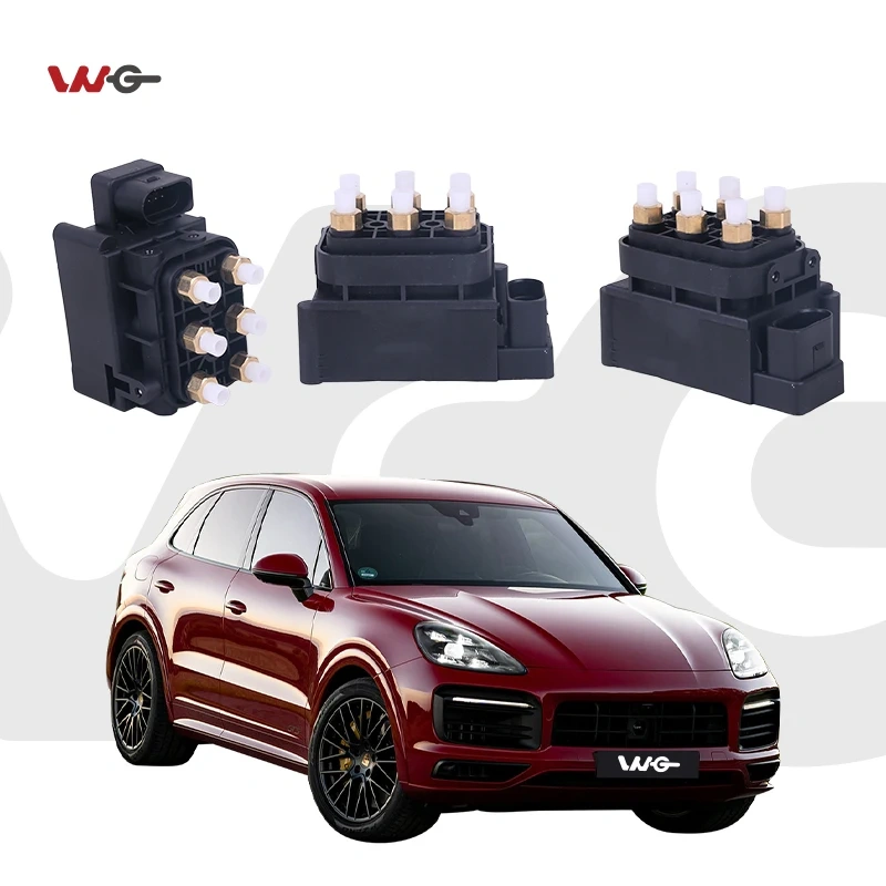 Airmatic Suspension Compressor Repair Kits for Porsche Panamera 970 Oe97035815302 95835890101 Air Compressor Valve Block