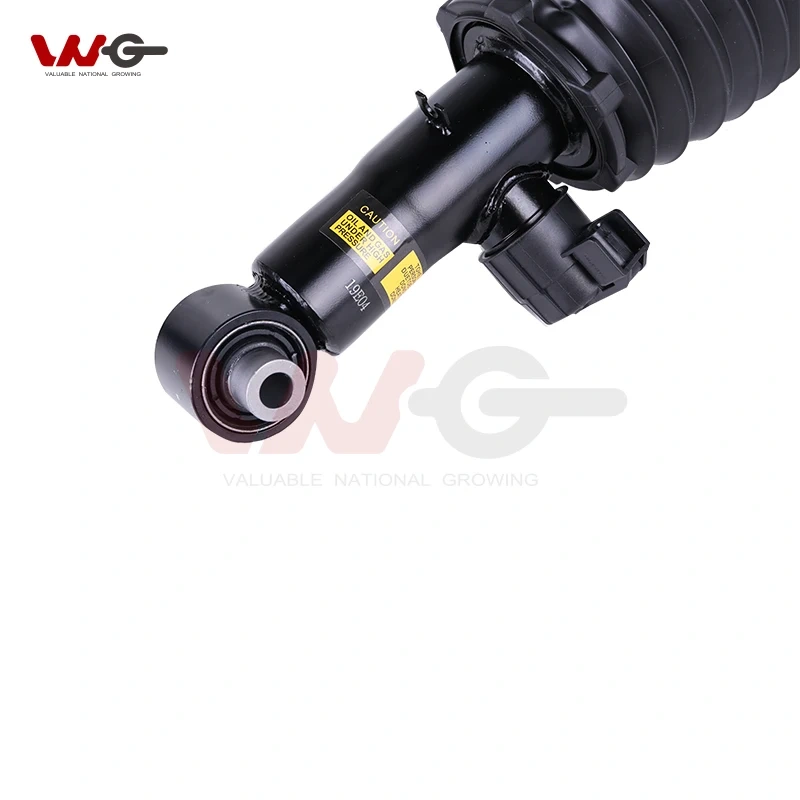 VNG Factory Price Rear Left and Right Air Suspension Shock Absorber Parts for BMW X5 G05 X6 G06 X7 G07 Suspension OE 37106869047