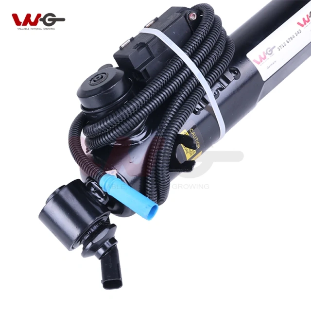 Air Suspension 37126794543 Rear Left with ADS Electronic Shock Absorber for BMW X5 E70 / X6 E71 37126794541 Electronic Shock