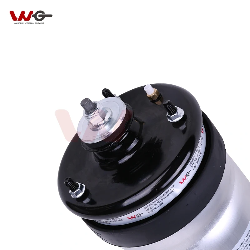 air Suspension Rear air Shock Absorber OeRPD501090 for  Land Rover L319/Range Rover Sport L320