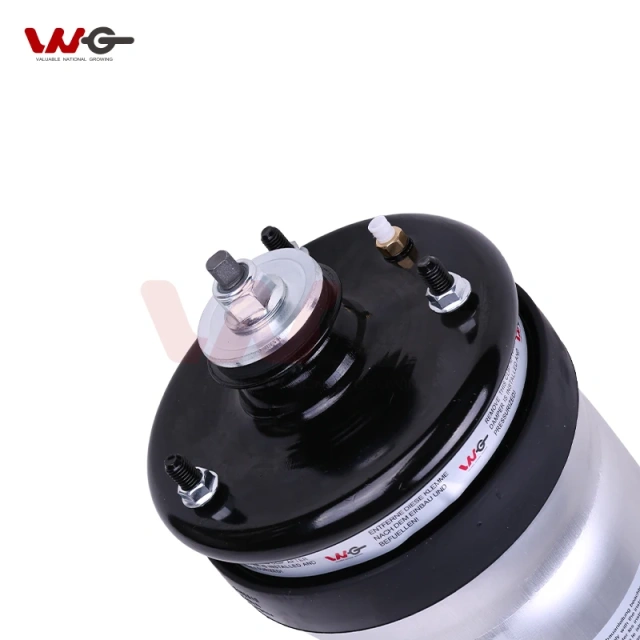 air Suspension Rear air Shock Absorber OeRPD501090 for  Land Rover L319/Range Rover Sport L320