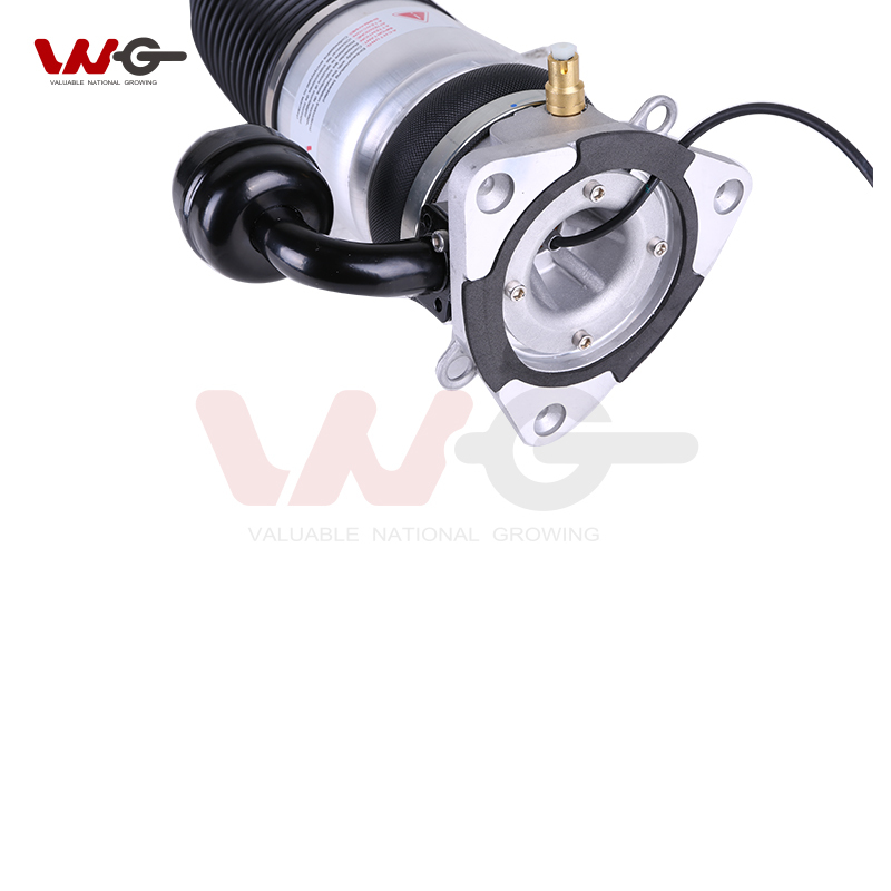 Air Strut for Bentley Continental 3W0616002 3W5616002 3W7616002 3W8616002 4W0616002 Rear Right Shock Absorber