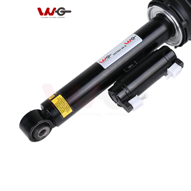 Quality Assurance Air Ride Suspension Absorber for Tesla Model X Air Suspension 1027067-00-D