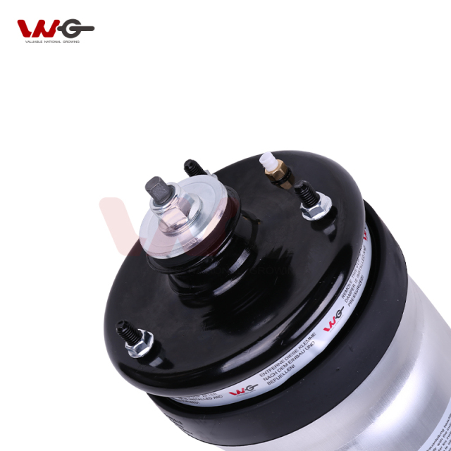 air Suspension Rear air Shock Absorber OeRPD501090 for  Land Rover L319/Range Rover Sport L320