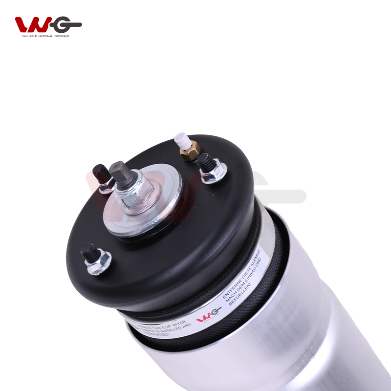 Front Left Right Without ADS Air Suspension for Land Rover Discovery 3 L319 Discovery 4 L319 Range Rover Sport L320 Air Strut