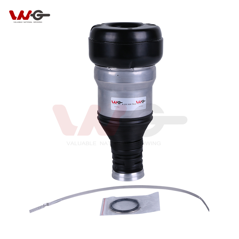 Cost-Effective OE 2223207313 Air Spring for Mercedes Benz W222 Shock Absorbers