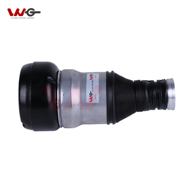 Cost-Effective OE 2223207313 Air Spring for Mercedes Benz W222 Shock Absorbers