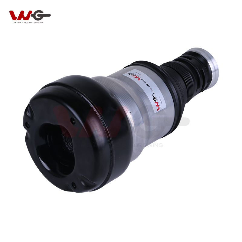 Cost-Effective OE 2223207313 Air Spring for Mercedes Benz W222 Shock Absorbers