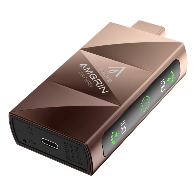 Electronic cigarette