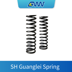 Shanghai Guanglei Spring Coil Spring – Compression Coil Spring,Stainless Steel CS-001 Coil Spring – Custom Coil Spring