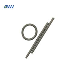 Garter Spring,Garter Spring