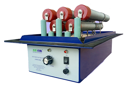 Ion generator